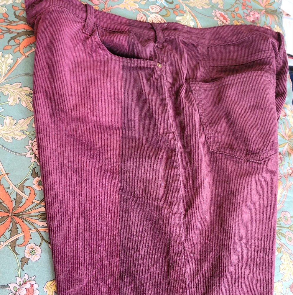 Anthro Pilcro Color Block Grape Corduroy Pants 32 - image 5